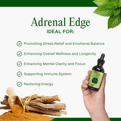 Go Nutrients Adrenal Edge ingredients list featuring astragalus and eleuthero.