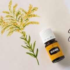 Goldenrod essential oil DIY skincare blend with natural ingredients
