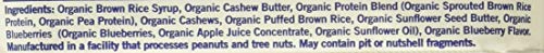 GoMacro organic blueberry cashew bar nutrition panel highlights ingredients.