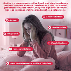 GONGOTA Cortisol liquid drops closeup for fast, calming absorption.