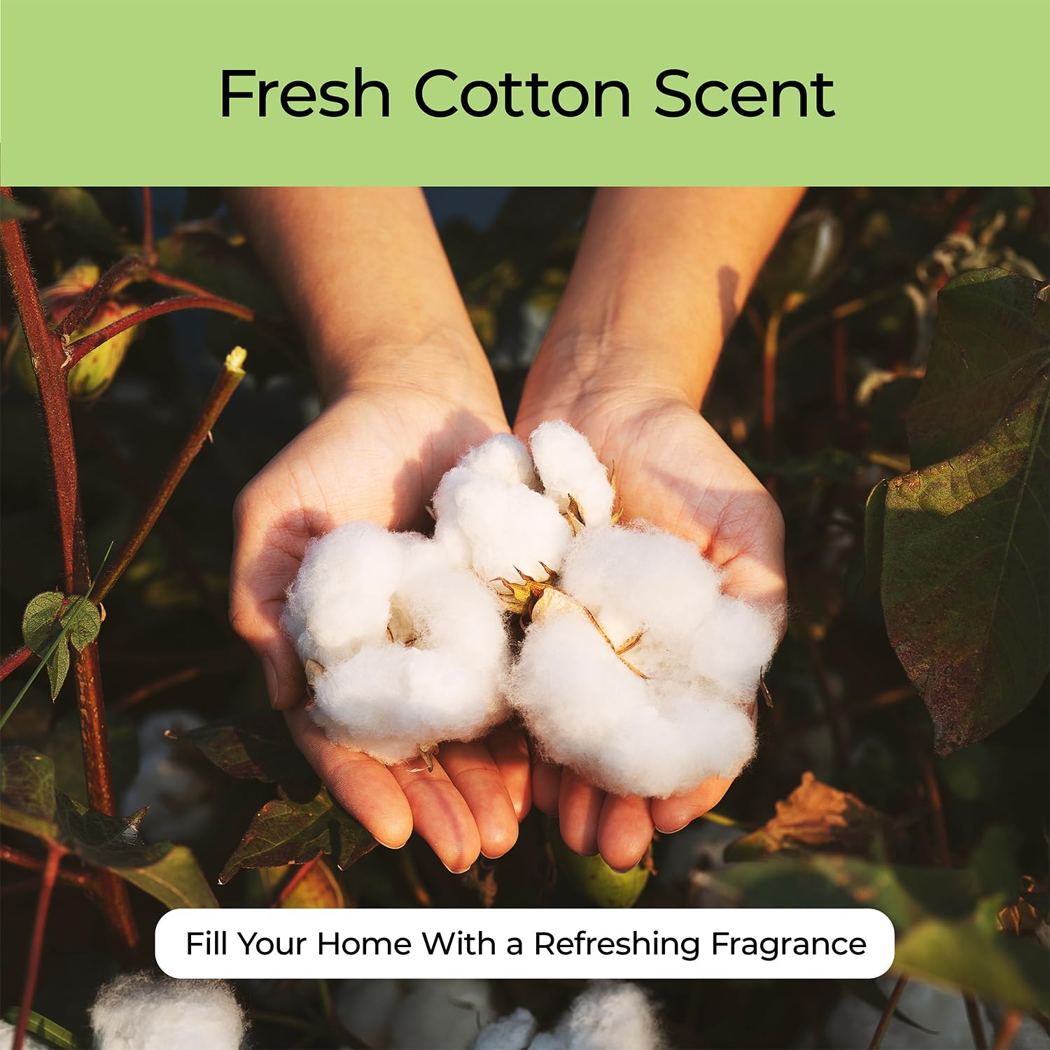 Good Essential Fresh Cotton laundry use adds long-lasting scent to clothes