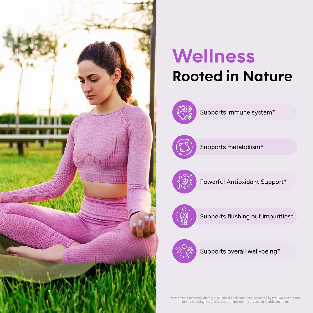 GoodlifePick elderberry capsules ingredients panel highlighting zinc and vitamin C for immune support.