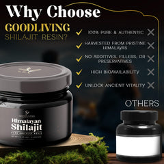GoodLiving Pure Shilajit Resin jar closeup reveals rich texture and purity.