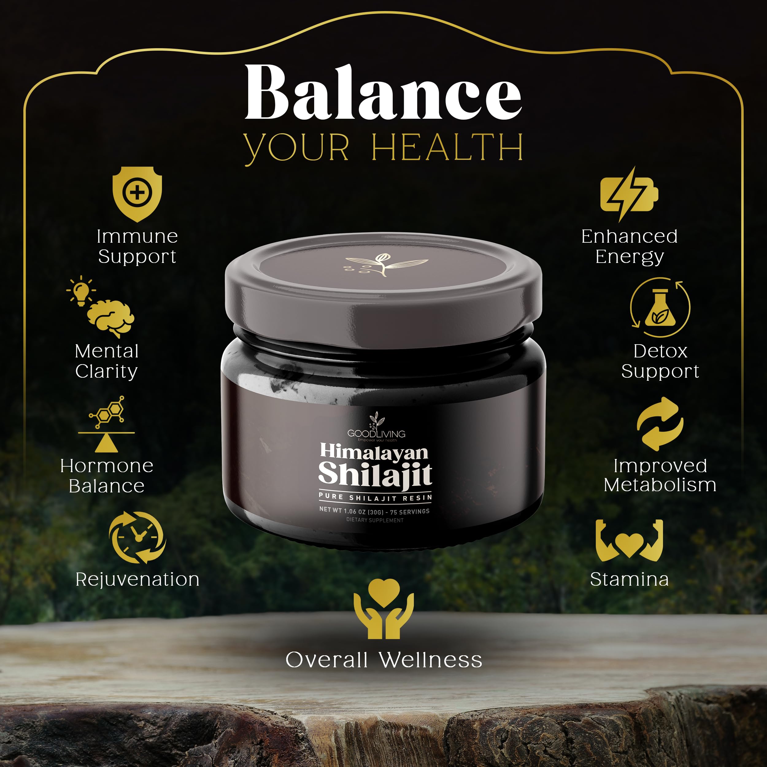 GoodLiving Shilajit Resin scoop highlights convenient dosing for vitality.