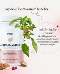 Goodness Lover Ashwagandha packaging label highlighting organic ingredients