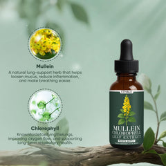 GOOVIP ETHALE Mullein Drops dropper close-up emphasizing fast-absorbing liquid.