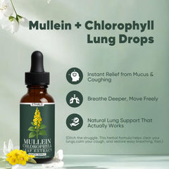 GOOVIP ETHALE Mullein Drops pour spout for convenient dosing.
