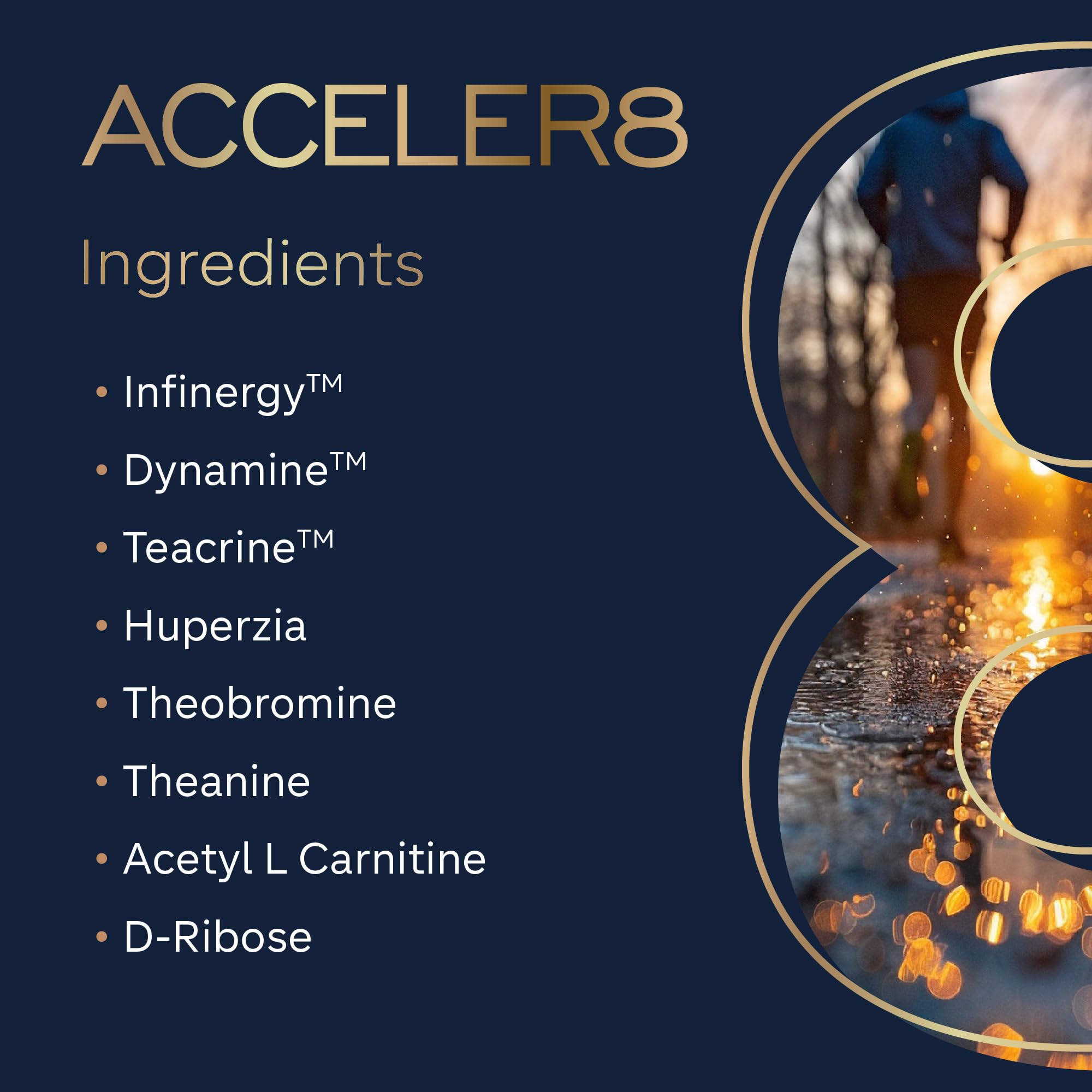 GR8 LIFESTYLE Acceler8 ingredients showcase TeaCrine and Dynamine for lasting alertness.