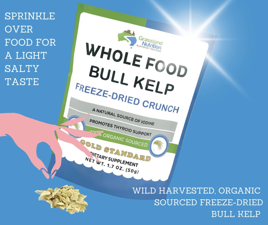 Grassland Nutrition Bull Kelp Crunch texture shown with a teaspoon for daily use.