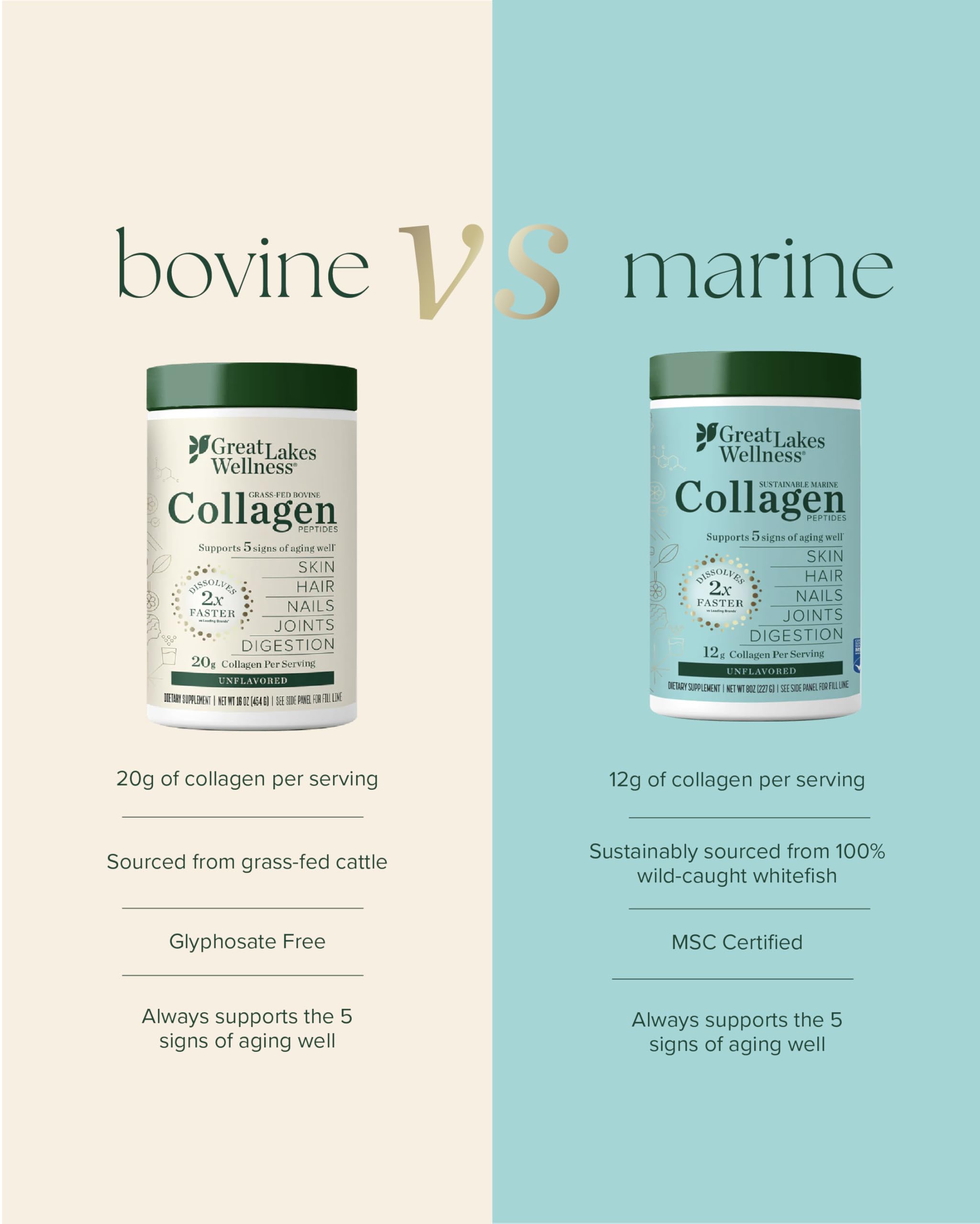 Smoothie with Great Lakes Wellness marine collagen for versatile daily use
