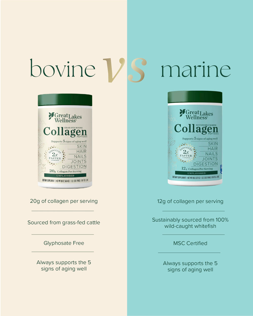 Smoothie with Great Lakes Wellness marine collagen for versatile daily use