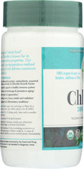 Close-up of Green Foods Organic Chlorella capsules; potential immune-supporting antioxidants in each dose.
