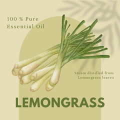 GreenHealth Lemongrass essential oil aroma uplifting any room or studio.