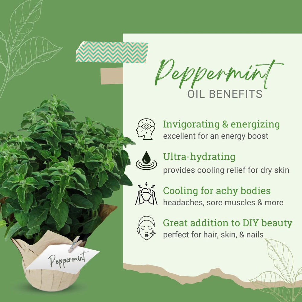 GreenHealth Peppermint Oil ideal for various DIY projects and blends.