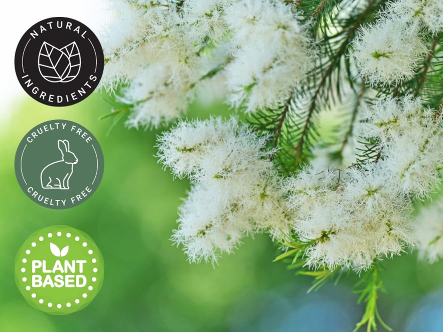GreenHealth Tea Tree Oil natural aroma enhances relaxation in rooms.