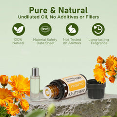 GREENSLEEVES Calendula oil diffuser use for calming room atmosphere.