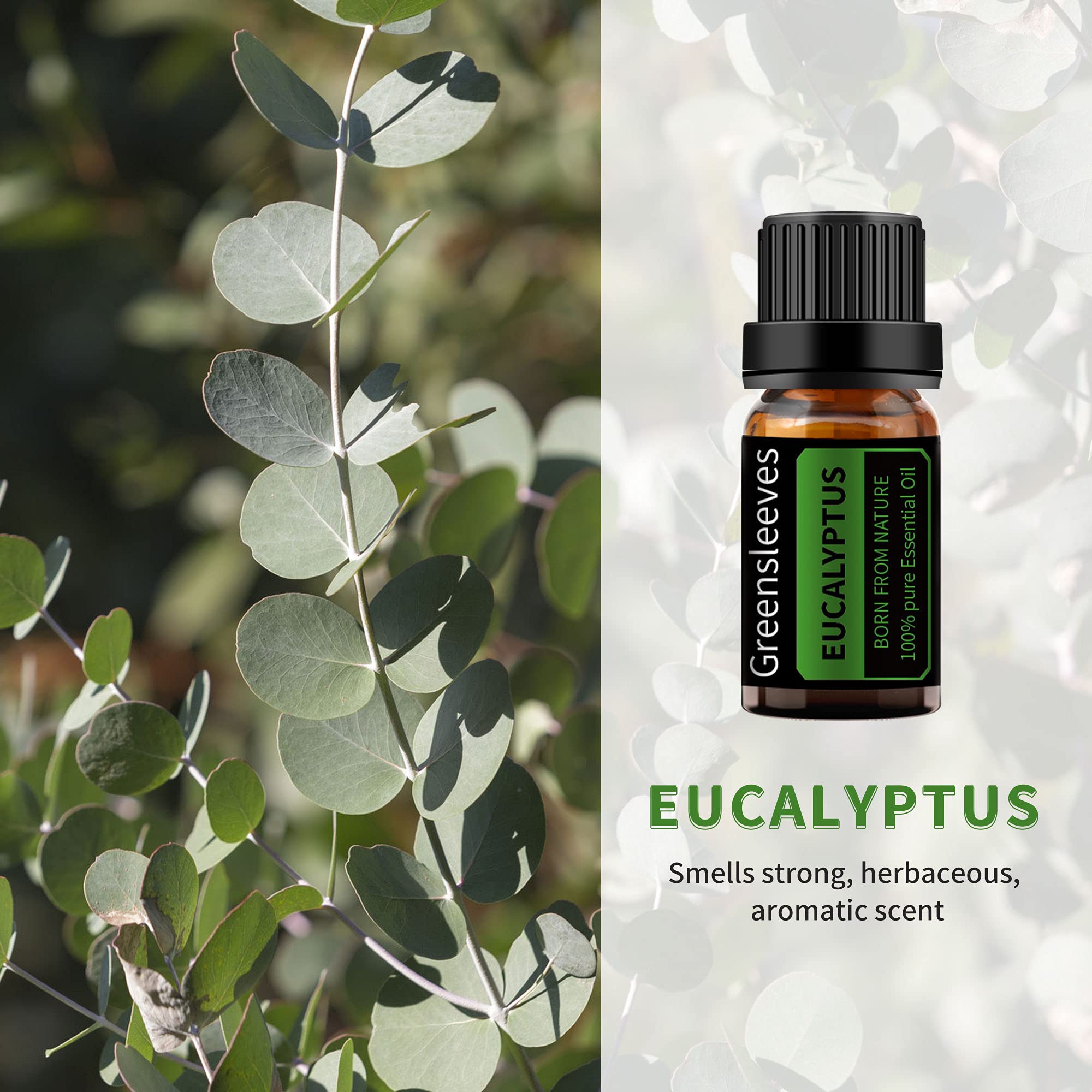 GREENSLEEVES Vetiver Eucalyptus oil set packaging-open showcasing gift-ready presentation.