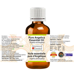 Greenwood Essential Angelica Archangelica steam-distilled oil highlights quality extraction