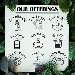 Greenwood Essential Aniseed Oil label highlighting pure, undiluted ingredient.