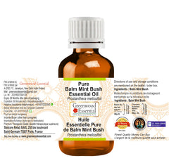 Greenwood Essential Mint Bush essential oil bottle highlights pure botanical fragrance.