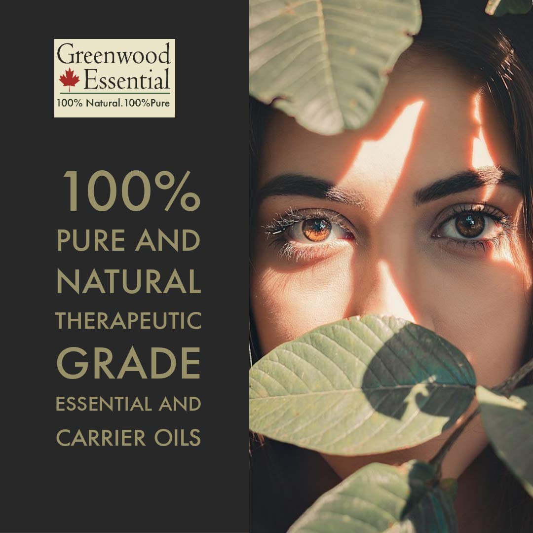 Greenwood Essential onion seed oil cold-pressed label highlights purity and therapeutic grade quality.