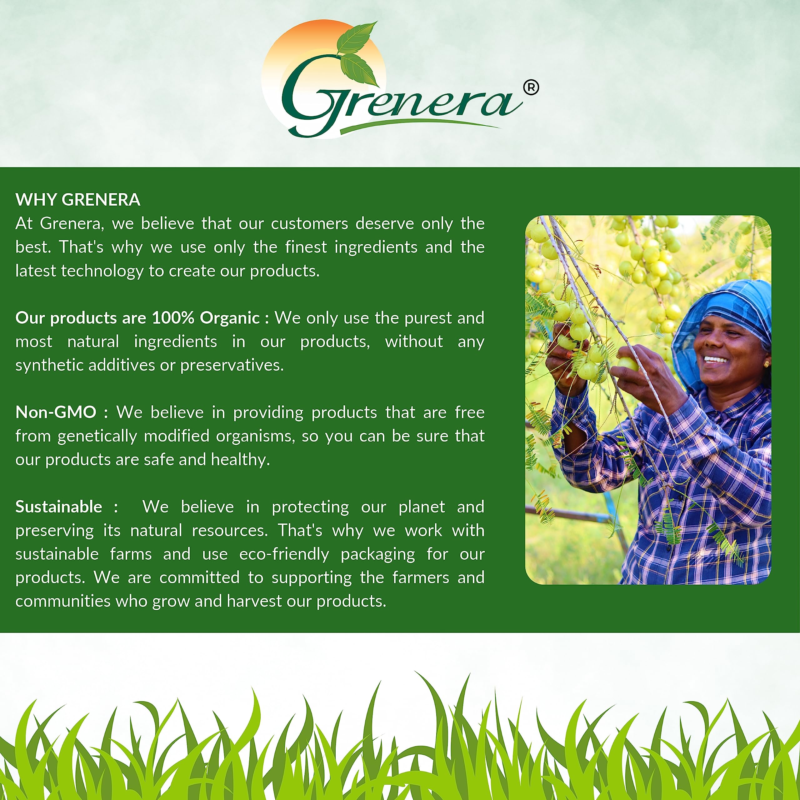 Amla farm or orchard scene illustrating Grenera's organic sourcing