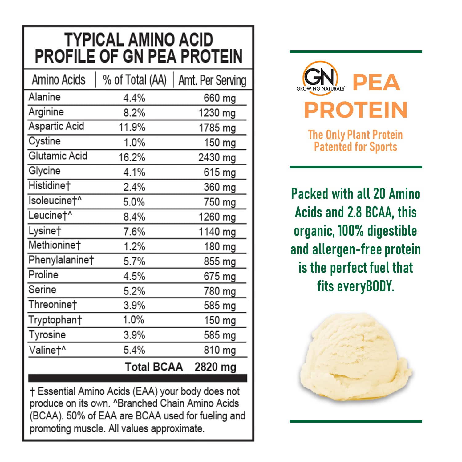 Growing Naturals pea protein powder scoop shows easy portioning for meals.