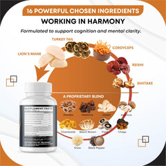 GUDOMET mushroom variety display emphasizing potential immune and cognitive support.