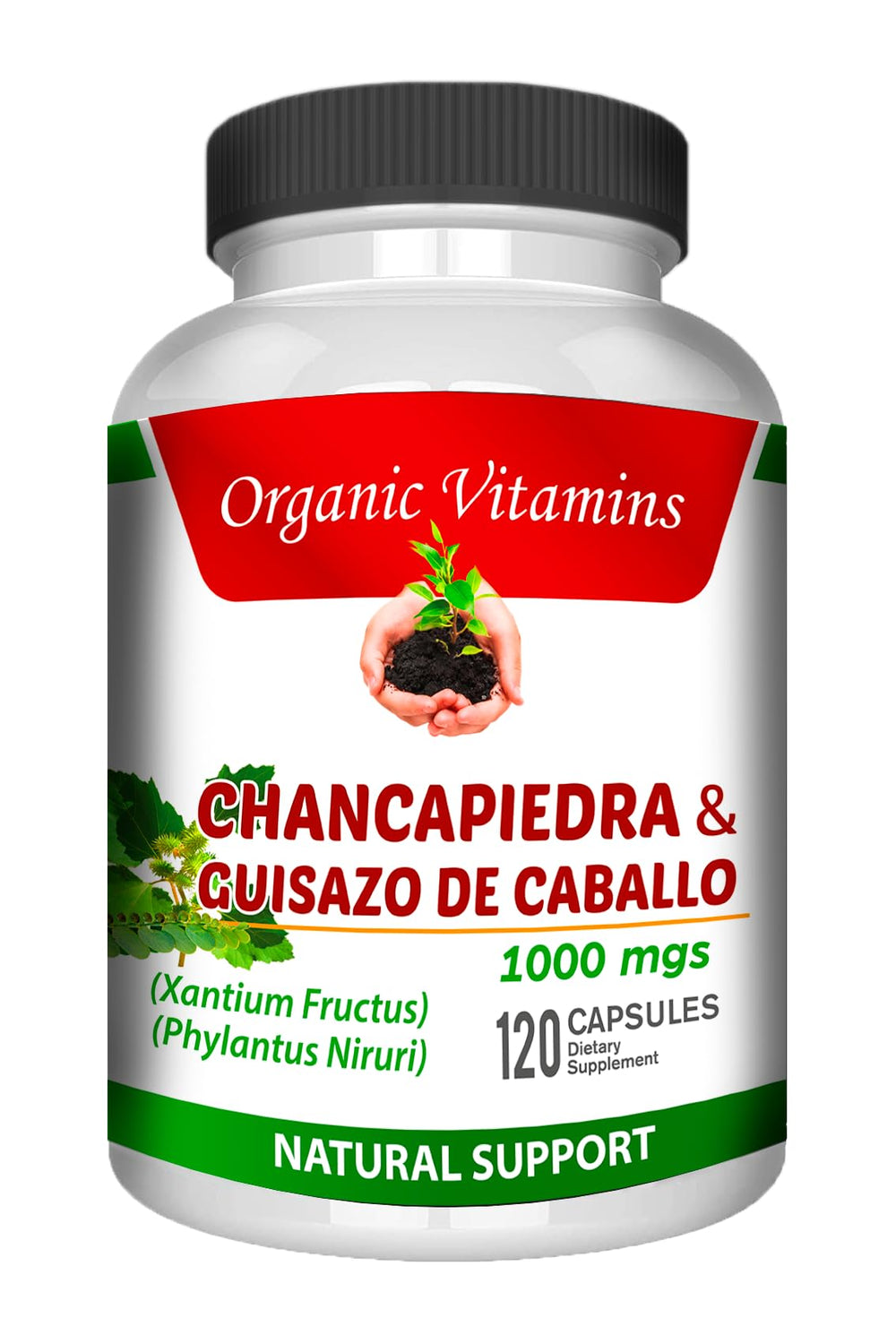 Guizazo Plus Chanca Piedra with glass of water, convenient day-to-day use.