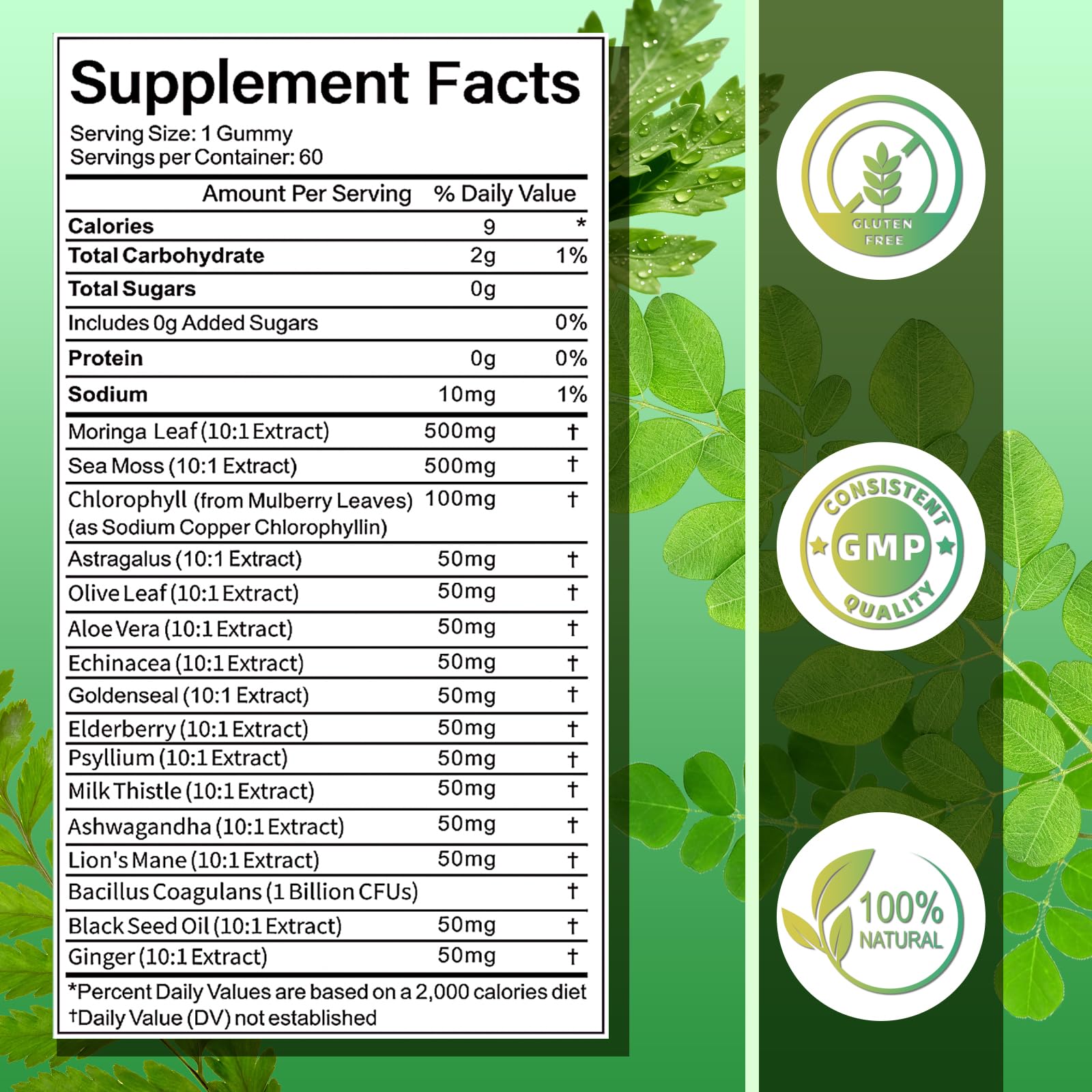 GUMTRACT Moringa Gummies label close-up showing 16-in-1 complex for balanced nutrition.