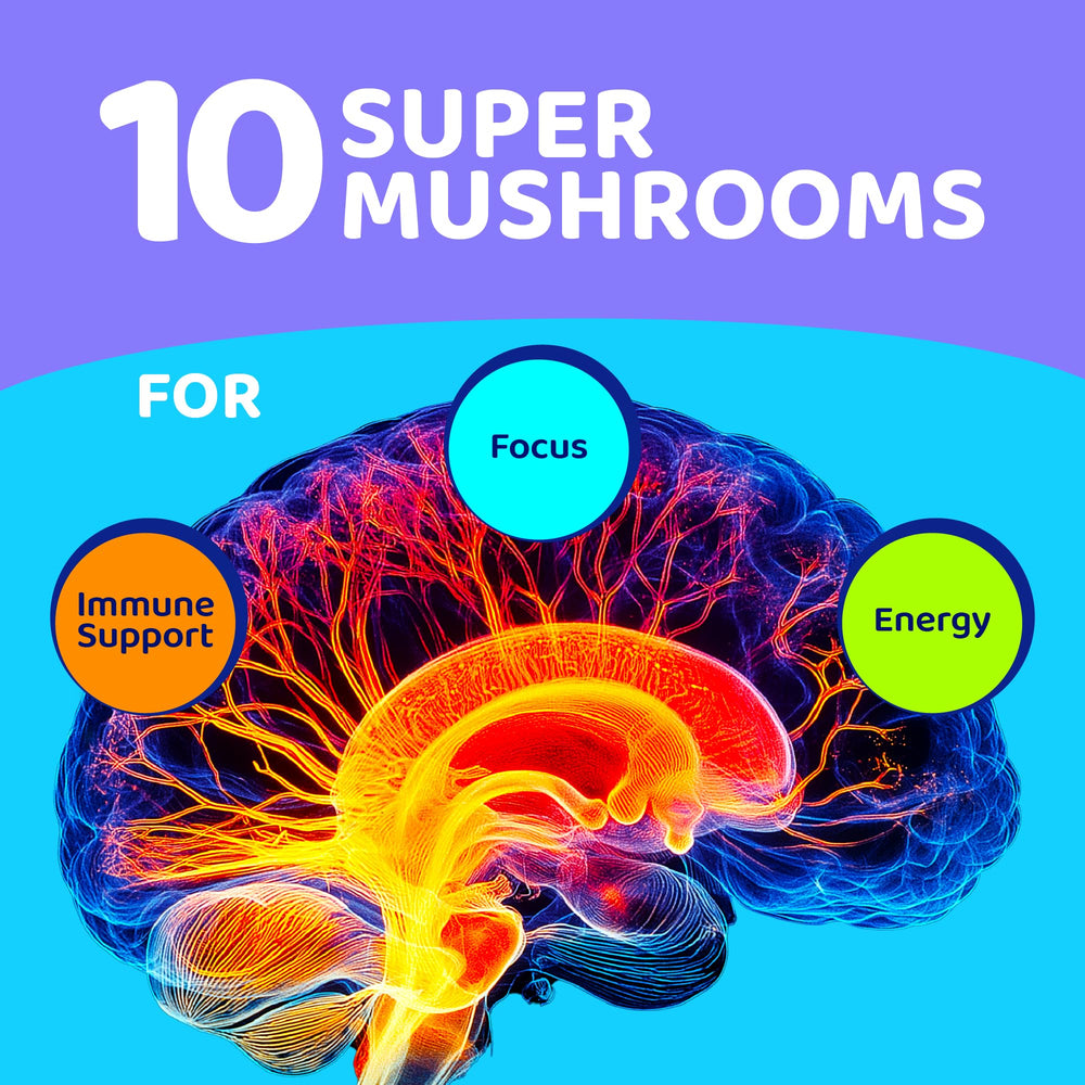 Gusevit Mushroom Gummies bottle back shows ingredients and vegan claim
