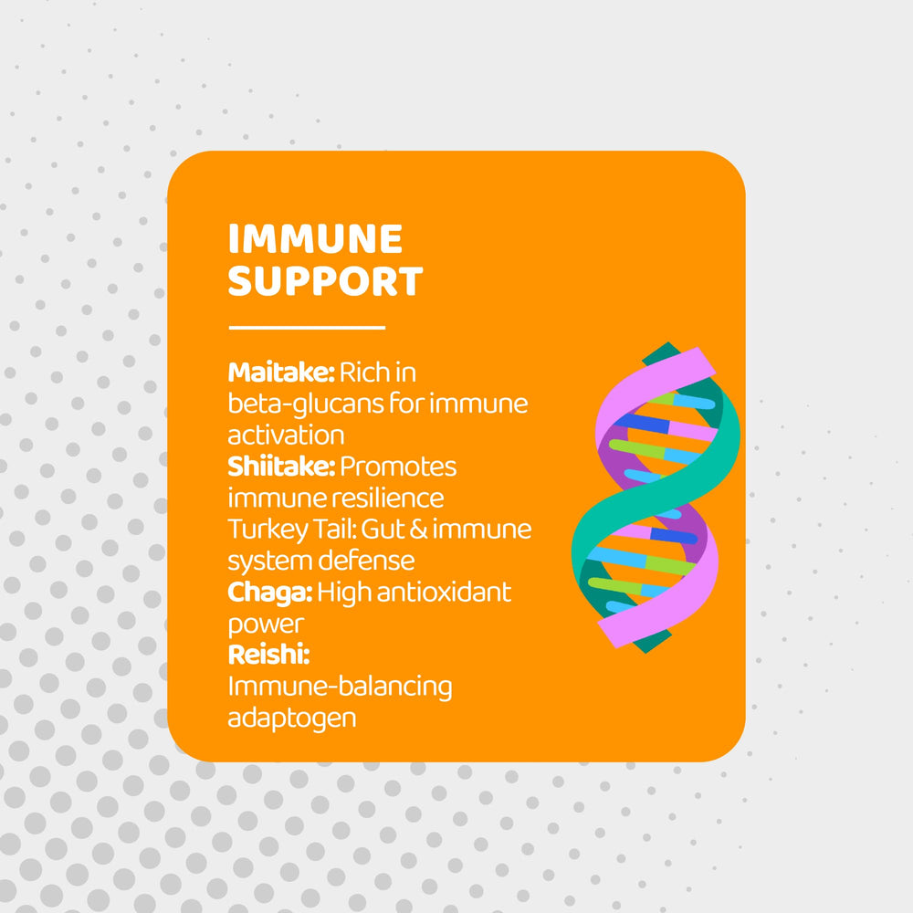 Gusevit Mushroom Gummies ingredients panel highlighting 10 mushrooms