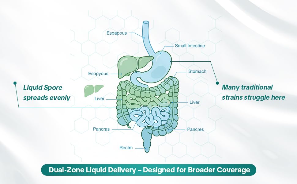 Gut Shields packaging box emphasizes travel friendly probiotic solution