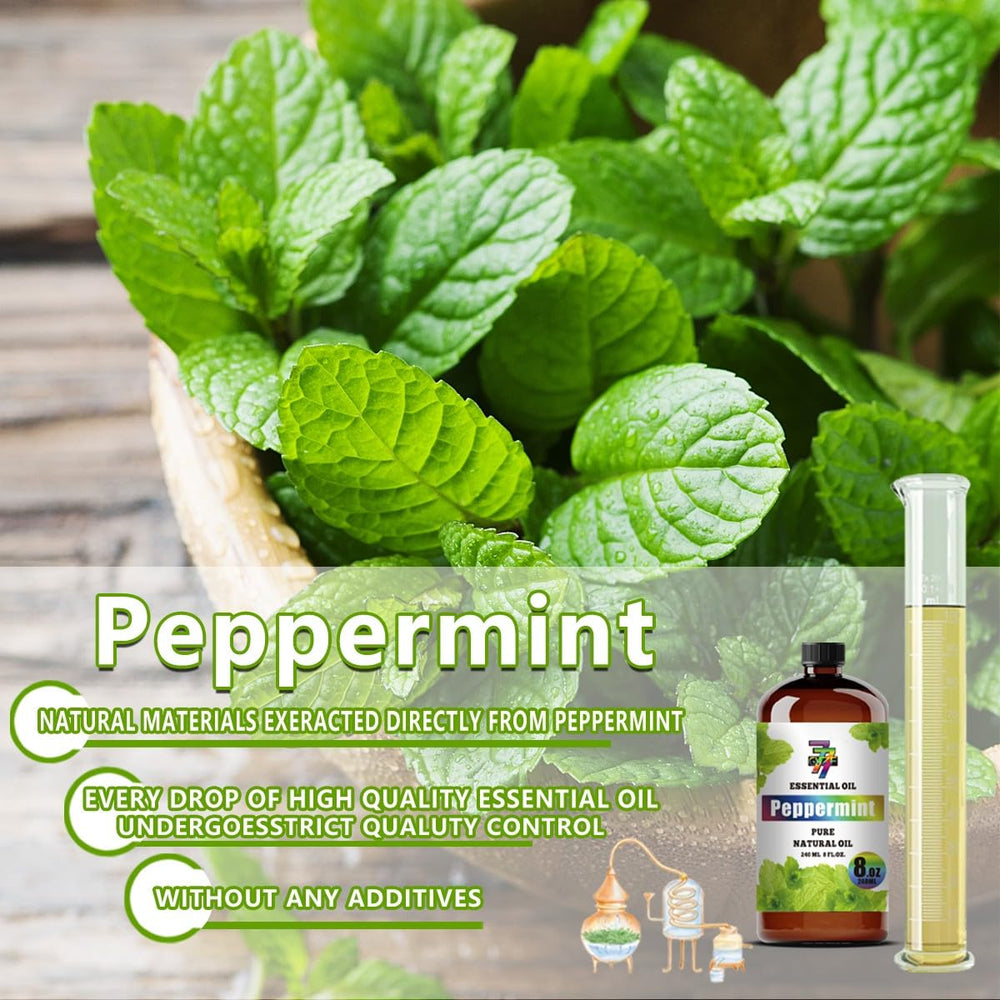 GV77ZF Peppermint essential oil supports yoga and home spa routines