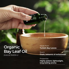 Gya Labs bay leaf oil in diffuser to refresh spaces