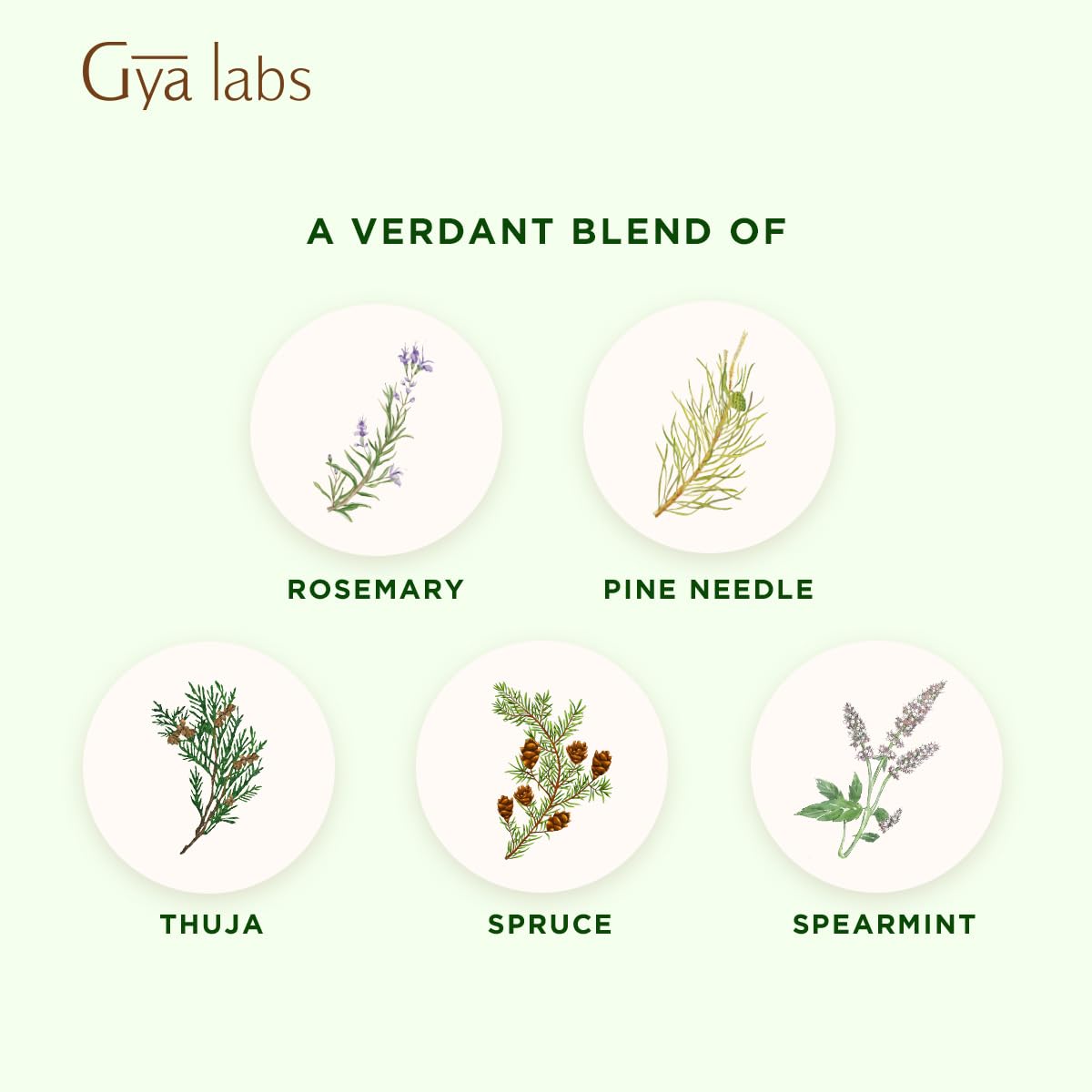 Gya Labs Frosty Forest cap image suggests travel-friendly 0.34 fl oz size
