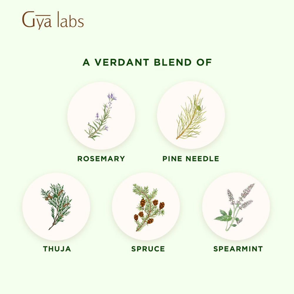 Gya Labs Frosty Forest cap image suggests travel-friendly 0.34 fl oz size