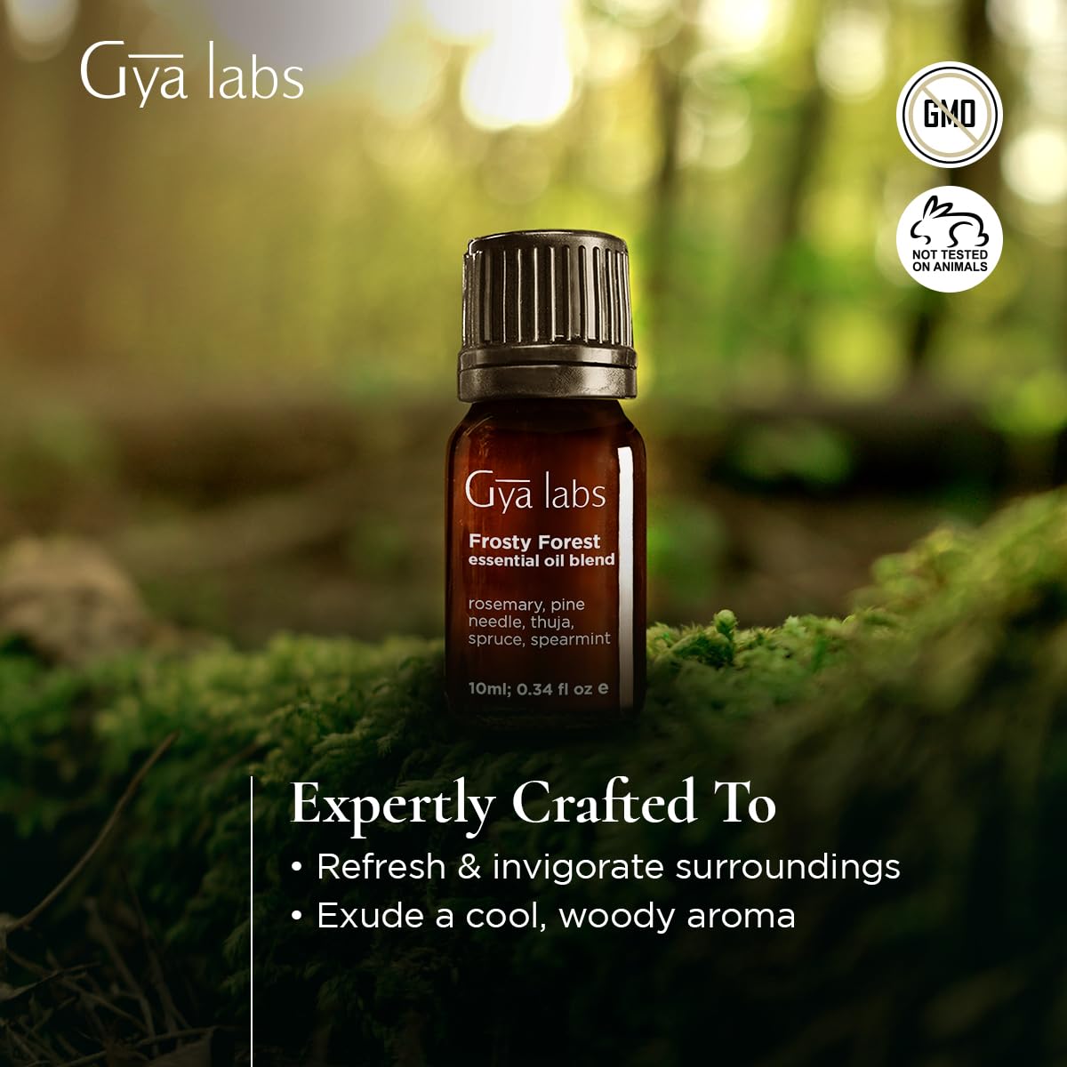Gya Labs Frosty Forest oil drops ideal for DIY blends and applications