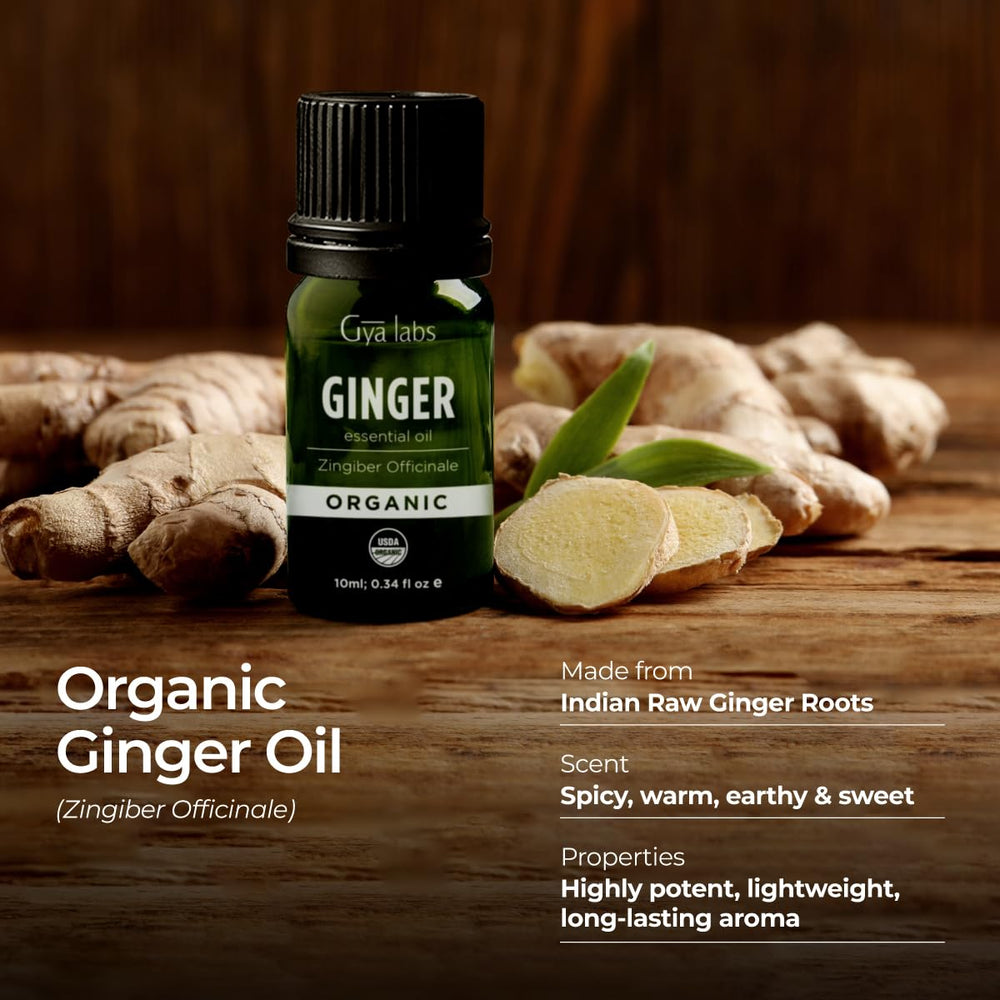 Gya Labs ginger essential oil for skin care, diluted in carrier oil.