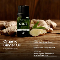 Gya Labs ginger essential oil for skin care, diluted in carrier oil.