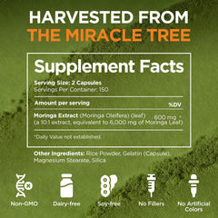 Person taking Gya Labs Moringa Capsules as part of daily routine.