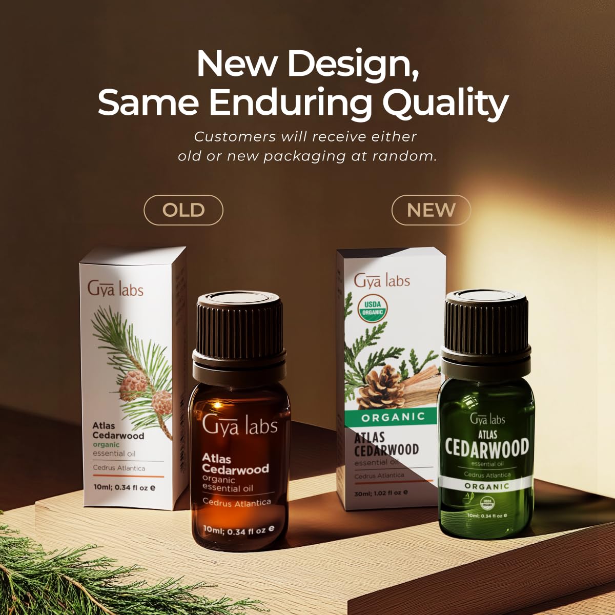 Packaged and labeled by Gya Labs for reliable essential oils