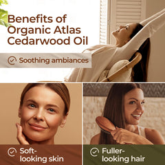 Gya Labs cedarwood oil diluted with carrier oil for moisturized skin