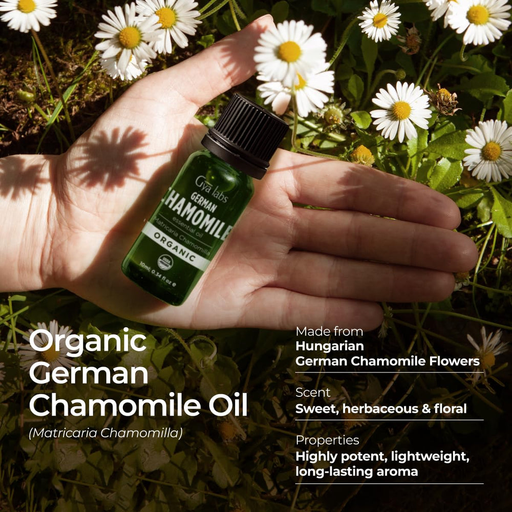Gya Labs chamomile oil used on skin with carrier oil for gentle care