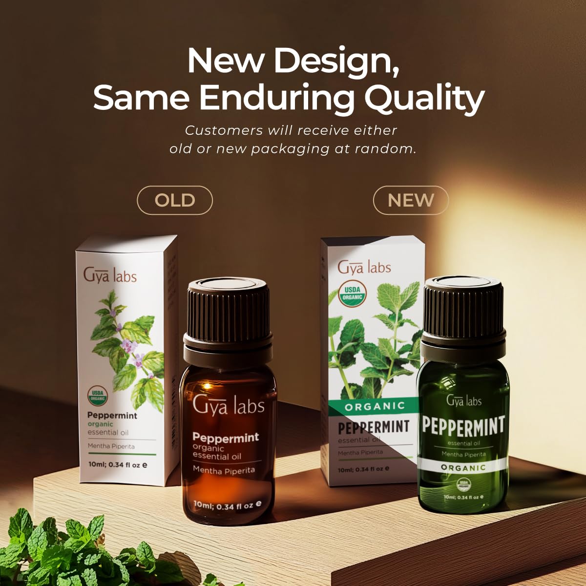 Gya Labs Organic Peppermint Oil in use with diffuser and humidifier.