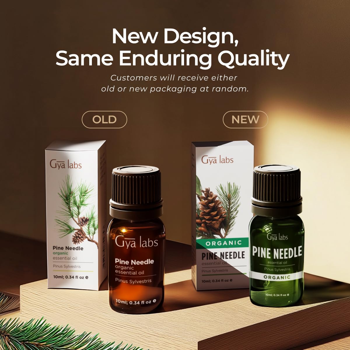 Gya Labs Organic Pine Needle Oil safely packaged and quality-tested.