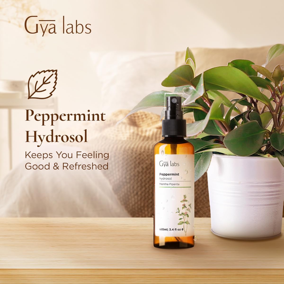 Gya Labs peppermint hydrosol bottle on face toning routine for refreshing daily care.