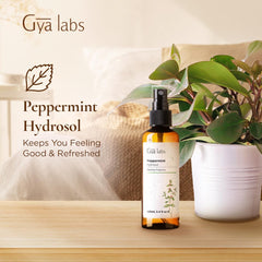 Gya Labs peppermint hydrosol bottle on face toning routine for refreshing daily care.