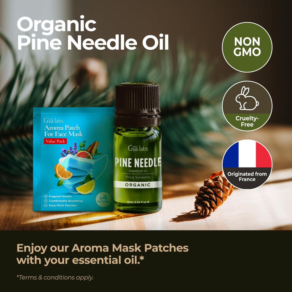 Gya Labs Pine Diffuser Blend capturing pine notes for a cozy atmosphere.