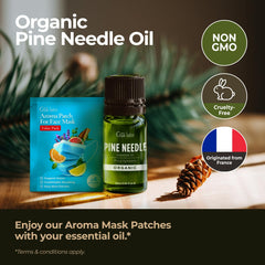 Gya Labs Pine Diffuser Blend capturing pine notes for a cozy atmosphere.